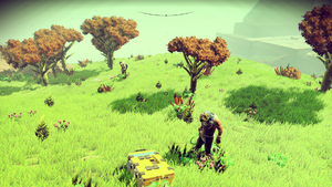 NMS 2023-04-08 12-31-33.png